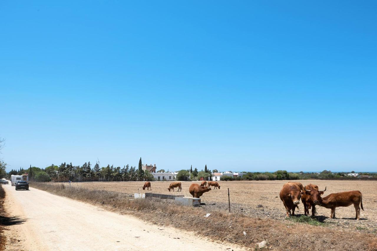 Casa Mora - Vejer, El Palmar Villa Вехер де ла Фронтера Екстериор снимка